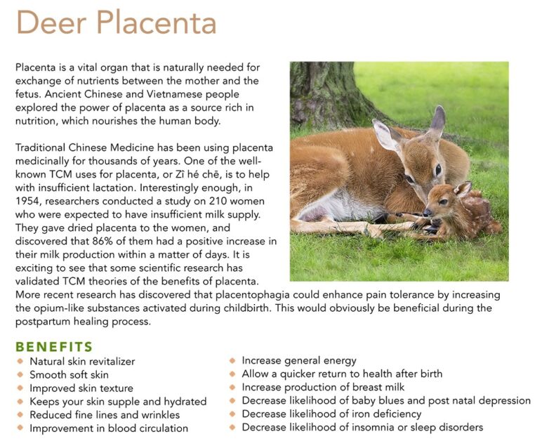 deer-placenta-singapore