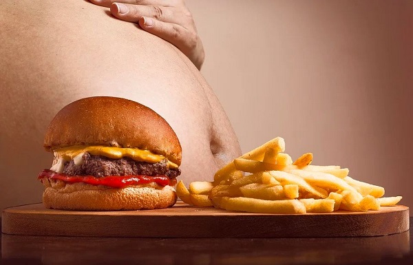 diet obesity purtier