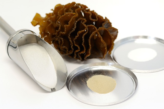 fucoidan extract seaweed purtier