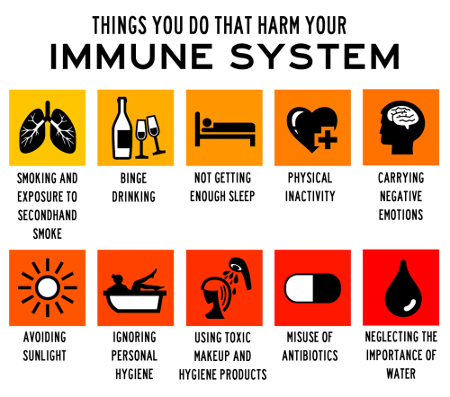 Healthy Immune System Can Actually Prevent Diseases