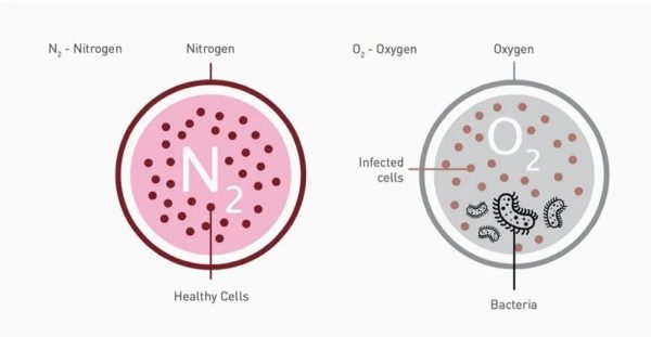 purtier placenta nitrogen filled technology